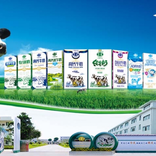石埠牛奶“新鲜健康每一天”阳光形象